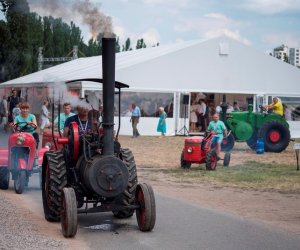 Muzeum na Pikniku Poznaj Dobrą Żywność Muzeum na Pikniku Poznaj Dobrą Żywność