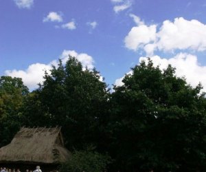 Wykopki w skansenie 2009