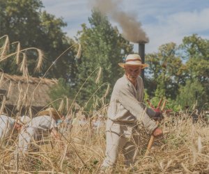 XV Podlaskie Święta Chleba w Muzeum Rolnictwa im. ks. Krzysztofa Kluka w Ciechanowcu XV Podlaskie Święta Chleba w Muzeum Rolnictwa im. ks. Krzysztofa Kluka w Ciechanowcu