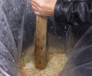 Jesień w polu i zagrodzie. Etnograficzny festiwal kultury ludowej 2022 - fotorelacja Jesień w polu i zagrodzie. Etnograficzny festiwal kultury ludowej 2022 - fotorelacja