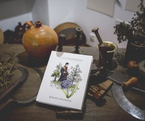 DZIAŁ TRADYCJI ZIELARSKICH DZIAŁ TRADYCJI ZIELARSKICH