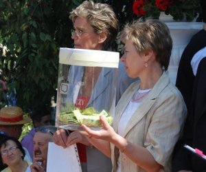 IX Podlaskie Święto Chleba IX Podlaskie Święto Chleba