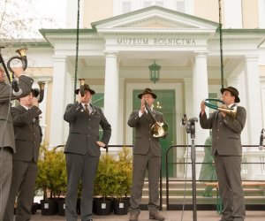 Jarmark Św. Wojciecha i Festyn Leśny 2014 Jarmark Św. Wojciecha i Festyn Leśny 2014