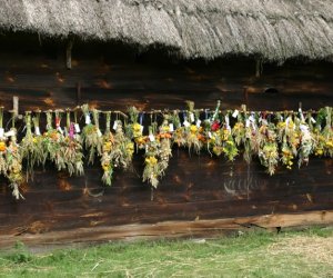 VII PODLASKIE ŚWIĘTO CHLEBA