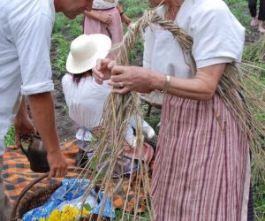 VIII PODLASKIE ŚWIĘTO CHLEBA VIII PODLASKIE ŚWIĘTO CHLEBA