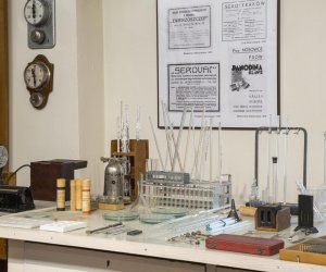 NIECOdziennik muzealny - Weterynaria NIECOdziennik muzealny - Weterynaria