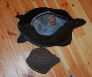 Pamiątki kolonialne "Sztuka czarnego lądu".