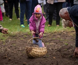 Jesień w Polu i Zagrodzie 2018 - fotorelacja