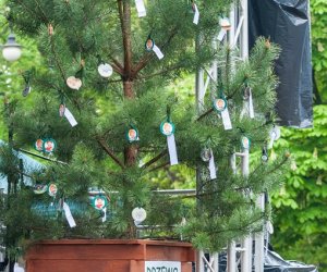 Jarmark św. Wojciecha i Święto Lasu Jarmark św. Wojciecha i Święto Lasu