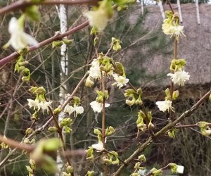 Codziennik Muzealny - Wiosna już zawitała Codziennik Muzealny - Wiosna już zawitała