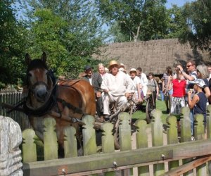 IX Podlaskie Święto Chleba IX Podlaskie Święto Chleba