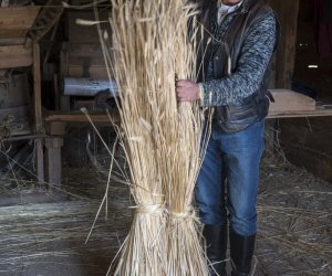 Jesień w polu i zagrodzie 2021 - fotorelacja