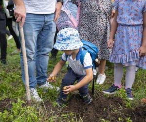 Jesień w polu i zagrodzie - fotorelacja - 15 września 2024