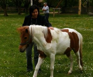 Początek wiosny w Muzeum Rolnictwa im. ks. K. Kluka w Ciechanowcu to czas dla zwierząt. Początek wiosny w Muzeum Rolnictwa im. ks. K. Kluka w Ciechanowcu to czas dla zwierząt.