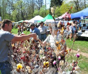 XIV Jarmark Św. Wojciecha i Festyn Leśny XIV Jarmark Św. Wojciecha i Festyn Leśny