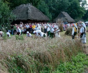 X PODLASKIE ŚWIĘTO CHLEBA