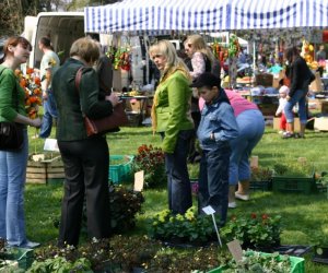 Jarmark Świętego Wojciecha