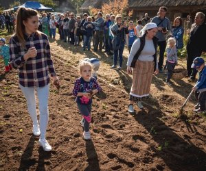 Jesień w polu i zagrodzie - fotorelacja Jesień w polu i zagrodzie - fotorelacja
