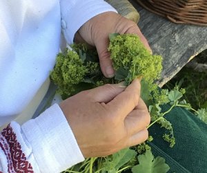 Wianki w Oktawę Bożego Ciała Wianki w Oktawę Bożego Ciała
