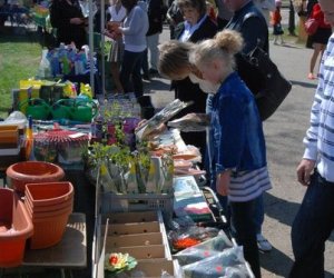 JARMARK ŚWIĘTEGO WOJCIECHA W MUZEUM ROLNICTWA W CIECHANOWCU JARMARK ŚWIĘTEGO WOJCIECHA W MUZEUM ROLNICTWA W CIECHANOWCU