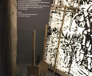 Jubileusz 55-lecia Muzeum Rolnictwa w Ciechanowcu - fotorelacja