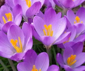 Codziennik Muzealny - Wiosna już zawitała Codziennik Muzealny - Wiosna już zawitała