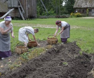 Kolejny odcinek "Księgi obyczaju" w naszym Muzeum