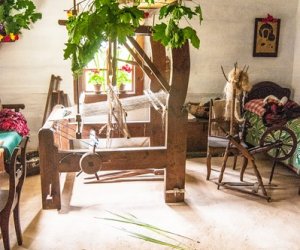 Zielone Świątki Zielone Świątki