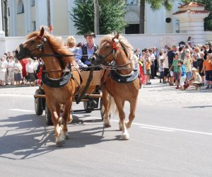 IX Podlaskie Święto Chleba IX Podlaskie Święto Chleba
