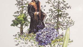 Rośliny Lecznicze - wydanie II, poprawione i rozszerzone