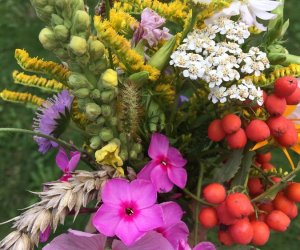 DZIAŁ TRADYCJI ZIELARSKICH DZIAŁ TRADYCJI ZIELARSKICH