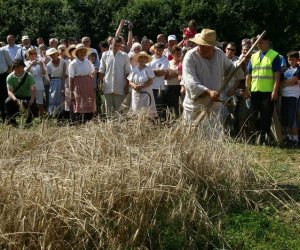 IX Podlaskie Święto Chleba