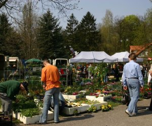 Jarmark Świętego Wojciecha