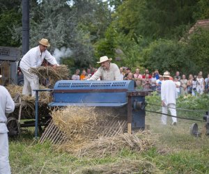 XXII Podlaskie Święto Chleba - fotorelacja