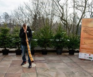 Galeria z 5 grudnia 2015