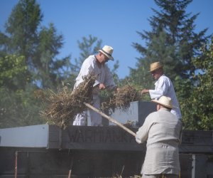 XXII Podlaskie Święto Chleba - fotorelacja