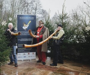 Ligawki 2018 Ligawki 2018