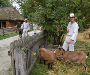 XVII Podlaskie Święto Chleba - fotorelacja XVII Podlaskie Święto Chleba - fotorelacja