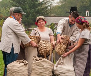 JESIEŃ W POLU I ZAGRODZIE JESIEŃ W POLU I ZAGRODZIE