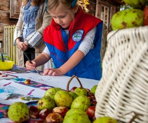 Z Kulturą Ludową Przez Podlasie Z Kulturą Ludową Przez Podlasie