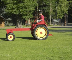 Wyglądają przepięknie