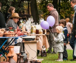 Wykopki w Skansenie 2013 Wykopki w Skansenie 2013