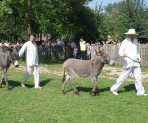 IX Podlaskie Święto Chleba IX Podlaskie Święto Chleba