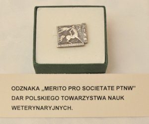 Wspomnień czar - podsumowanie roku jubileuszowego Wspomnień czar - podsumowanie roku jubileuszowego