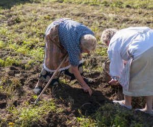 Jesień w polu i zagrodzie 2021 - fotorelacja Jesień w polu i zagrodzie 2021 - fotorelacja