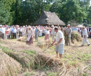 X PODLASKIE ŚWIĘTO CHLEBA