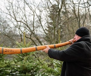 Galeria z 5 grudnia 2015