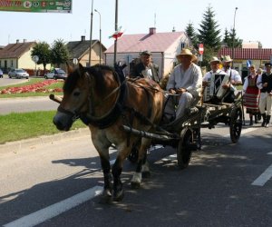IX Podlaskie Święto Chleba