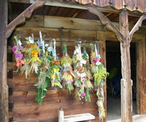 VIII PODLASKIE ŚWIĘTO CHLEBA VIII PODLASKIE ŚWIĘTO CHLEBA