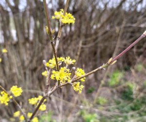 Codziennik Muzealny - Wiosna już zawitała Codziennik Muzealny - Wiosna już zawitała